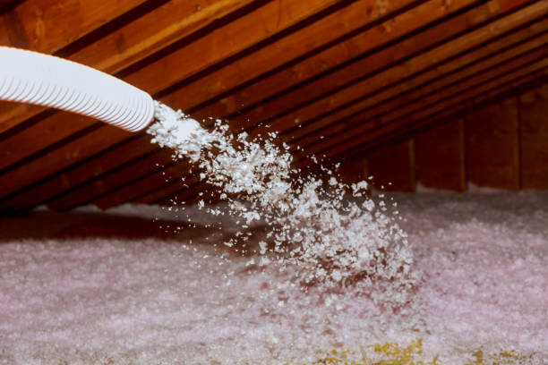 Professional Insulation Contractor in Greenville, SC