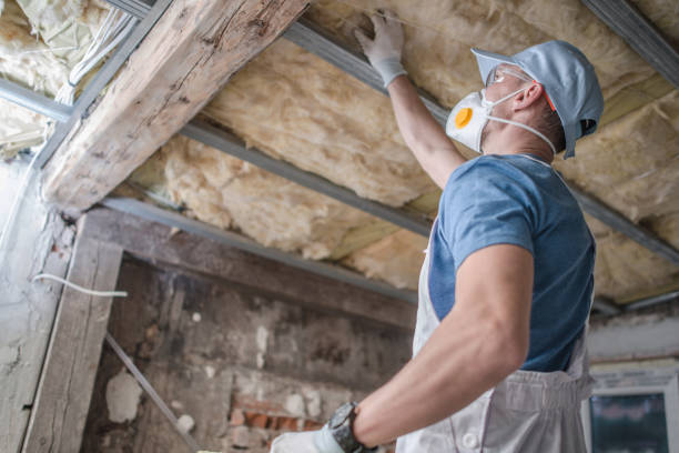 Best Insulation for Specific Applications in Greenville, SC