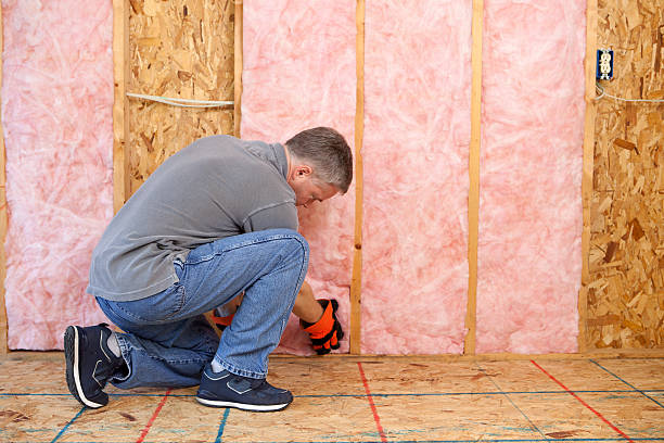 Best Residential Insulation in Greenville, SC