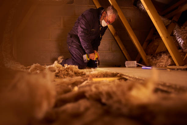 Best DIY Insulation Kits and Guidance in Greenville, SC